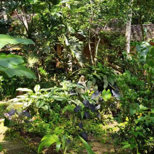 Captura de Pantalla 2026-01-13 a la(s) 1.23.30 p. m.