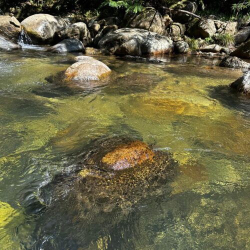 WhatsApp Image 2026-01-13 at 1.08.57 PM (1)